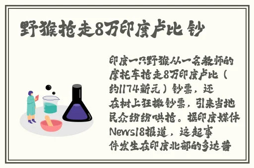 片多多视频在线观看下载